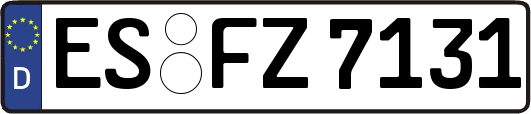 ES-FZ7131