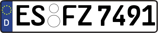 ES-FZ7491