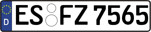 ES-FZ7565