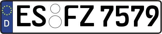 ES-FZ7579