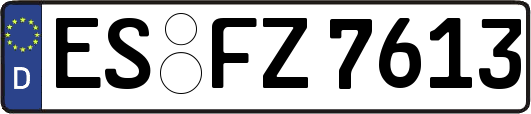 ES-FZ7613