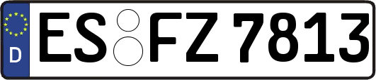 ES-FZ7813