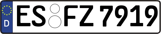 ES-FZ7919