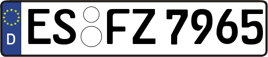 ES-FZ7965