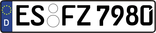 ES-FZ7980
