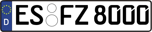 ES-FZ8000