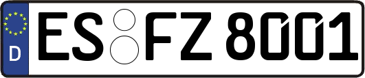 ES-FZ8001