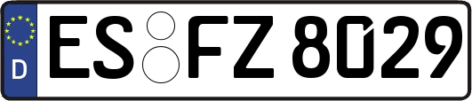 ES-FZ8029
