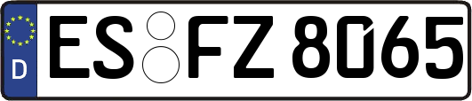 ES-FZ8065