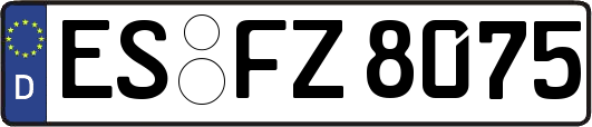 ES-FZ8075