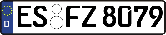 ES-FZ8079