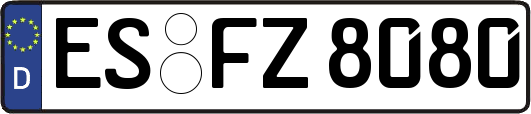 ES-FZ8080