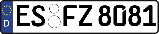 ES-FZ8081