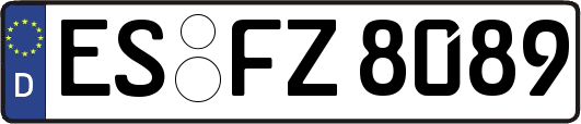 ES-FZ8089