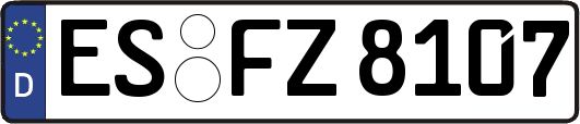 ES-FZ8107