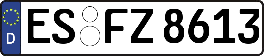 ES-FZ8613