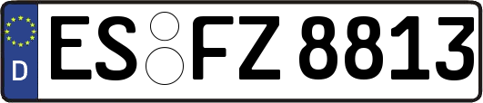 ES-FZ8813