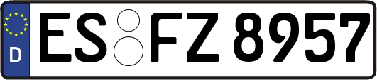 ES-FZ8957