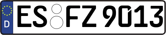 ES-FZ9013