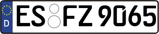 ES-FZ9065