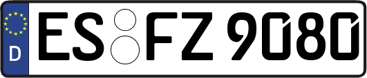 ES-FZ9080