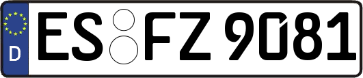 ES-FZ9081