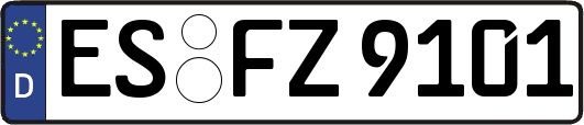 ES-FZ9101