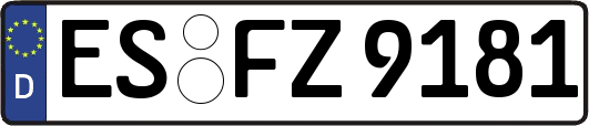 ES-FZ9181