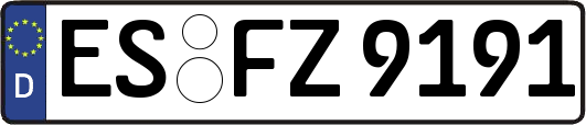 ES-FZ9191