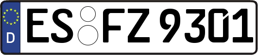 ES-FZ9301