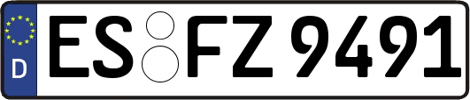 ES-FZ9491