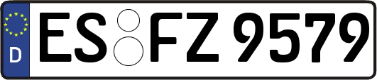 ES-FZ9579