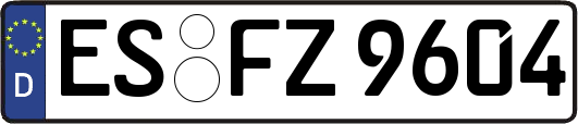 ES-FZ9604