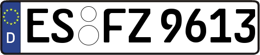 ES-FZ9613