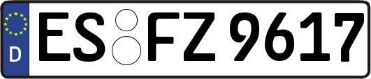 ES-FZ9617
