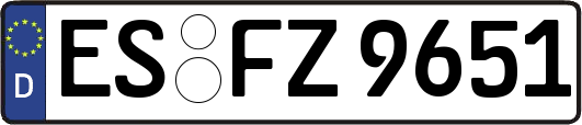 ES-FZ9651