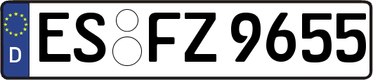 ES-FZ9655