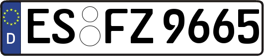 ES-FZ9665