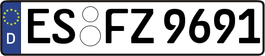 ES-FZ9691