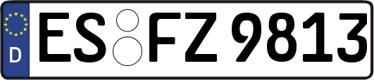 ES-FZ9813