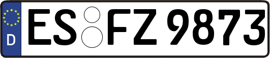 ES-FZ9873