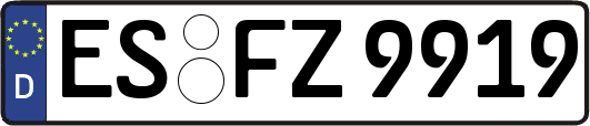 ES-FZ9919