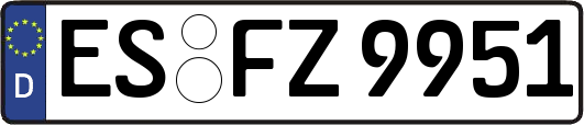 ES-FZ9951