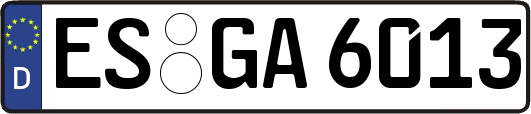 ES-GA6013