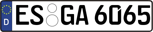 ES-GA6065