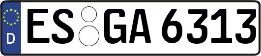 ES-GA6313