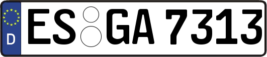ES-GA7313