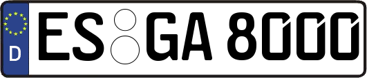 ES-GA8000