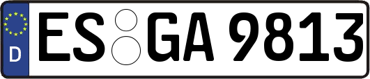 ES-GA9813