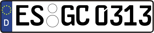 ES-GC0313